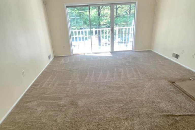 Cleaning Services in New Yersey (32)